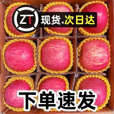 【首单立减】新鲜陕西洛川红富士苹果孕妇水果整箱不打蜡带皮吃