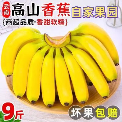 云南丑香蕉高山香蕉应季孕妇水果新鲜水果非广西海南小米蕉包邮