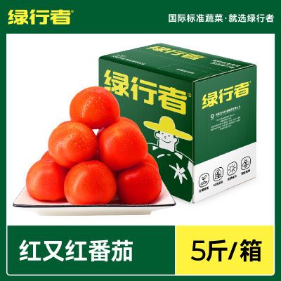 【绿行者】红又红番茄品牌果5斤装新鲜蔬菜自然熟西红柿生吃水果
