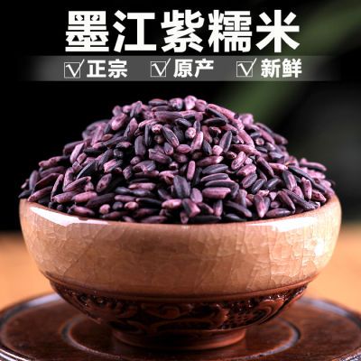 云南特产墨江紫米2023年新米紫糯米包粽子专用老品种黑糯米非黑米