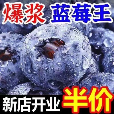 【冷链闪发】新鲜蓝莓果园现摘蓝莓鲜果带果粉宝宝孕妇辅食水果