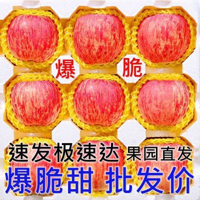 爆脆甜】山东烟台栖霞特级红富士苹果水果10斤冰糖心丑苹果批发价