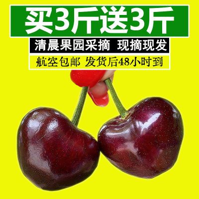 【现摘】山东大樱桃车厘子新鲜水果应季美早黑珍珠1/2/3斤脆甜