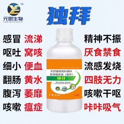 独拜250ml针对咳嗽吐黄水不吃食没精神 纯中药成分抗病毒猫狗专用