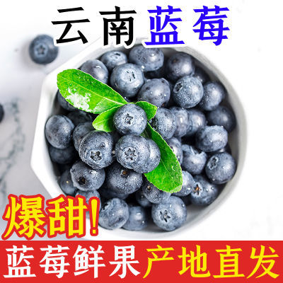 【冷链空运】正宗云南新鲜蓝莓限量特价果 125g*12盒当季