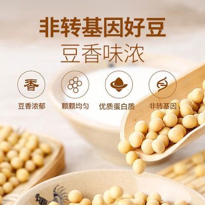 东北黄豆打豆浆专用发豆芽高蛋白黑土地农家笨黄豆大豆之乡豆浆豆