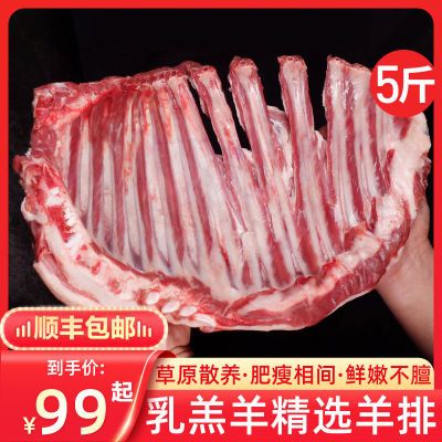 【顺丰】甘肃环有清真羊排羊肉羊腿新鲜羊蝎子手把羊肉2斤/5斤