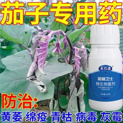 茄子病全治杀菌剂白粉病早疫叶斑灰霉病黄萎病炭疽病菌核病专用药