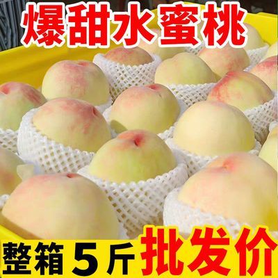 【正宗】爆甜水蜜桃新鲜现摘毛桃脆甜桃应季1/3/5斤水果整箱批发