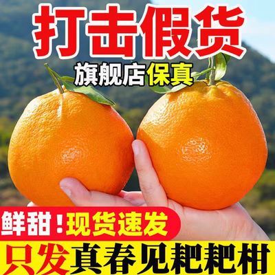 【今日特价】四川春见耙耙柑果冻橙爱媛38号薄皮橙子专用整箱甜