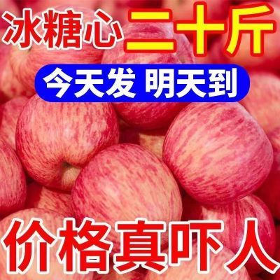 【首单立减】新鲜脆甜红富士苹果现摘新鲜冰糖心丑苹果水果批发价