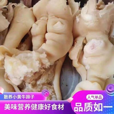 正宗【剔骨剃筋牛蹄皮】一整箱牛筋牛蹄筋去骨牛蹄带皮黄牛肉新鲜