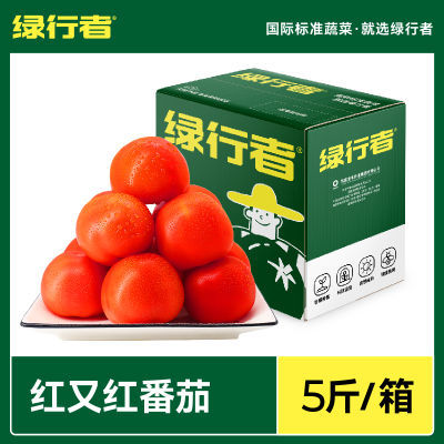 【绿行者】红又红番茄品牌果5斤装新鲜西红柿做菜做汤现摘现发