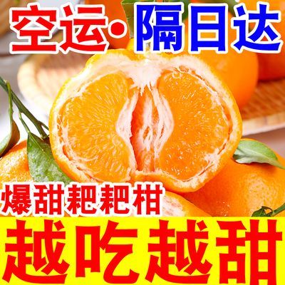 【甜蜜蜜】四川春见耙耙柑粑粑柑当季新鲜水果丑橘子超甜薄皮桔子