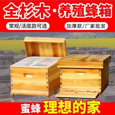 强蜂牌蜜蜂蜂箱标准十框中蜂箱诱蜂桶七框养蜂箱蜜蜂箱全套一整套