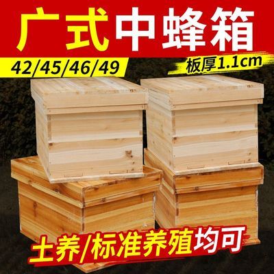 广西七框蜂箱标准框用养蜂工具中蜂箱子1厘米杉木全套42中蜂蜂箱