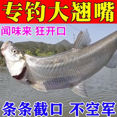 比泥鳅强】天越热口越好翘嘴饵料专攻翘嘴野钓湖库钓大翘嘴白条鱼