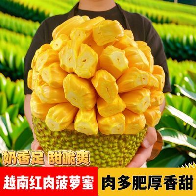 正宗越南进口红肉菠萝蜜干苞脆甜超甜橘黄金黄色新鲜水果包甜一枚