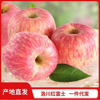 陕西洛川红富士苹果新鲜脆甜正宗当季水果全年产地整箱批