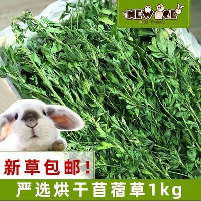 苜蓿草2024年新草 兔子龙猫牧草兔粮豚鼠饲料干草毛重100