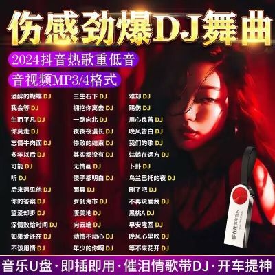 2024抖音精选热门火爆榜单DJ神曲车载U盘无损高音质高清MP3/4优盘