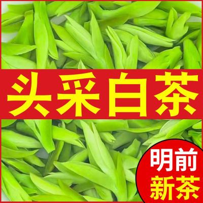 安吉白茶2024新茶叶明前头采特级白茶正宗高档高山正品绿茶叶罐装