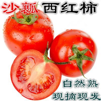 顺丰包邮露天沙瓤西红柿新鲜番茄自然成熟生吃番茄蔬菜一整箱批发