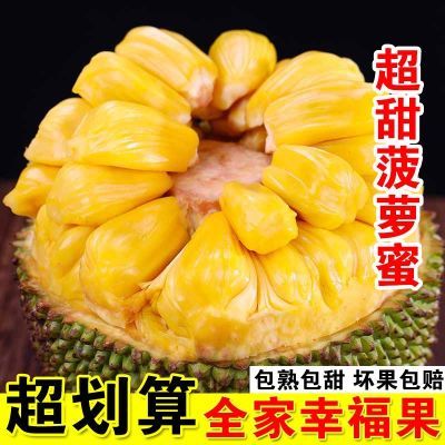 【阿公家的】海南红肉菠萝蜜6-23斤当季新鲜水果整箱直发全国