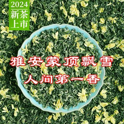 雅安蒙顶特级茉莉飘雪2024新茶四川茉莉花茶浓香耐泡云雾绿茶散装