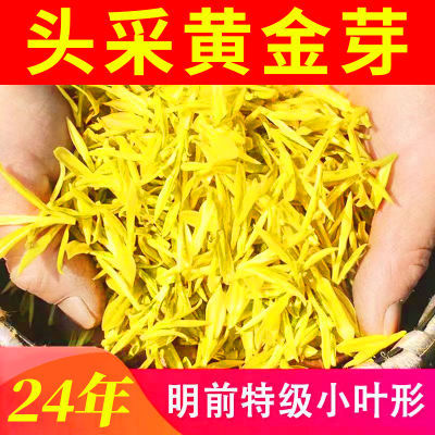 【应季新茶】正宗安吉特级黄金芽珍稀白茶浓香清香型绿茶袋装罐装