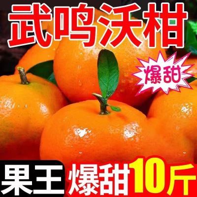 【沃柑爆甜】正宗广西武鸣沃柑基地直发新鲜水果薄皮沃柑应季水果