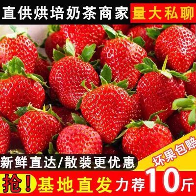 【新客立减】新鲜四季商用草莓蛋糕糖葫芦果酱整箱大果10斤批发