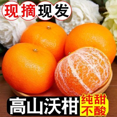 【彩箱】云南高山沃柑新鲜现摘应季水果超甜薄皮桔子柑橘净重5斤