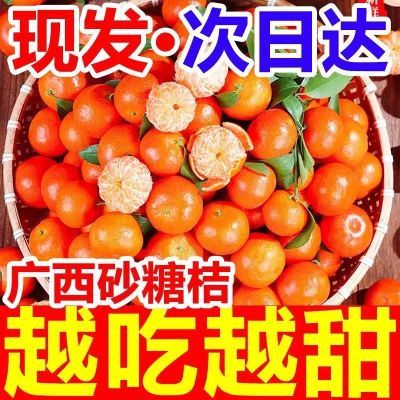 【商家补帖】广西超甜砂糖橘金秋沙糖桔子当季新鲜水果橘子现货