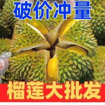 正宗泰国老树熟金枕榴莲当季新鲜巴掌整个带壳A+果非猫山王批发