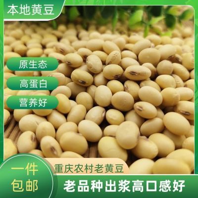 农家自种当季黄豆椭圆老品种土黄豆优质农产品散装新鲜非转基因