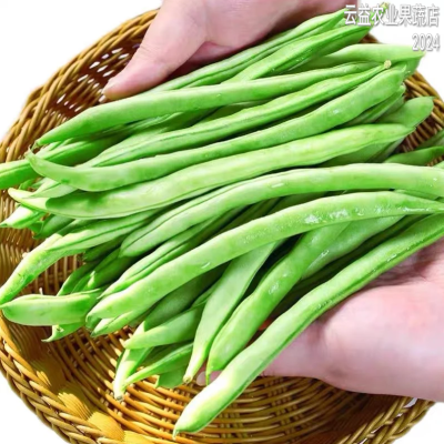 【今日特价】云南露天四季豆新鲜现摘时令扁豆芸豆新鲜蔬菜批发