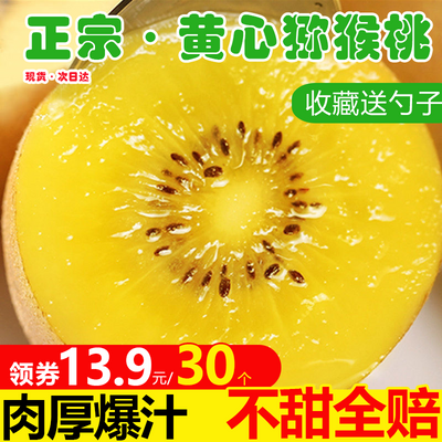 【维c王】进口奇异果同款金果黄心猕猴桃新鲜奇异果当季孕妇水果