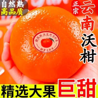【精选沃柑】云南正宗新鲜沃柑新鲜橘子水果应季水果薄皮柑贵妃柑