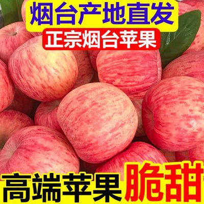 【烟台直发】正宗山东烟台苹果新鲜栖霞红富士苹果当季水果一整箱