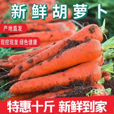 新鲜胡萝卜新鲜蔬菜类现挖水果萝卜农家自种红萝卜10斤批发包邮