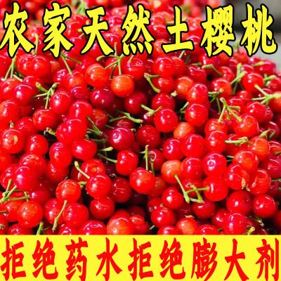 【发货快】现摘山东小樱桃鲜甜国产樱桃车厘子当季鲜果土樱桃