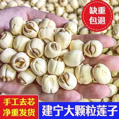 建宁莲子正宗特级无硫连子福建新鲜干货手工既食天然农家自产