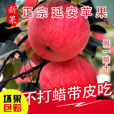 正宗延安苹果陕西洛川红富士苹果脆甜新鲜水果整箱5斤大果冰糖心
