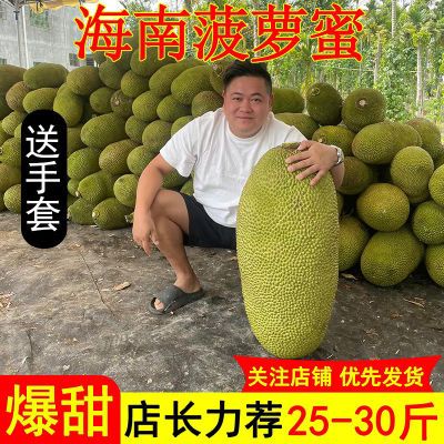 【每天发货】海南菠萝蜜一整个新鲜水果包邮当季波罗蜜整箱批发价
