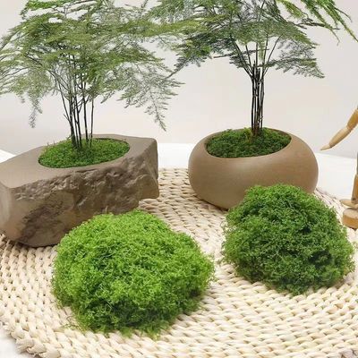 仿真苔藓植物微景观假山DIY沙盘模型地形造景盆景盆栽diy绿色四季
