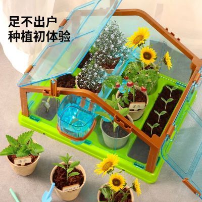 太阳能阳光房儿童种植观察小学生科学实验套装幼儿园玩具盆栽植物