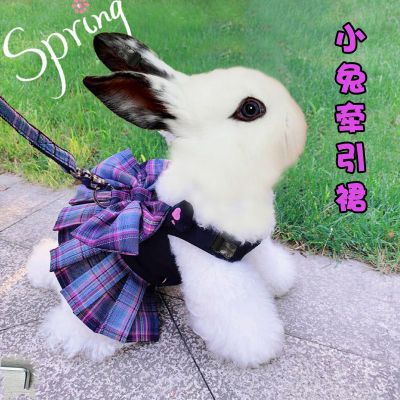 侏儒兔萝卜牵引绳超小型兔子专用可调节外出溜遛兔子牵引绳防挣脱