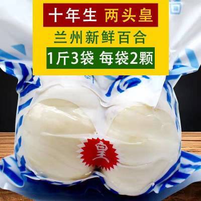 兰州甜百合新鲜食用两头现挖甘肃土特产级西果园十年大果500g