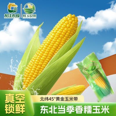 【农投康良】国企当季10棒整箱东北黄糯新鲜玉米真空包装非转基因